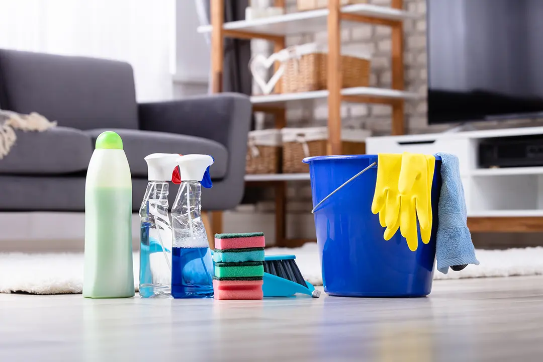 professional home cleaning services